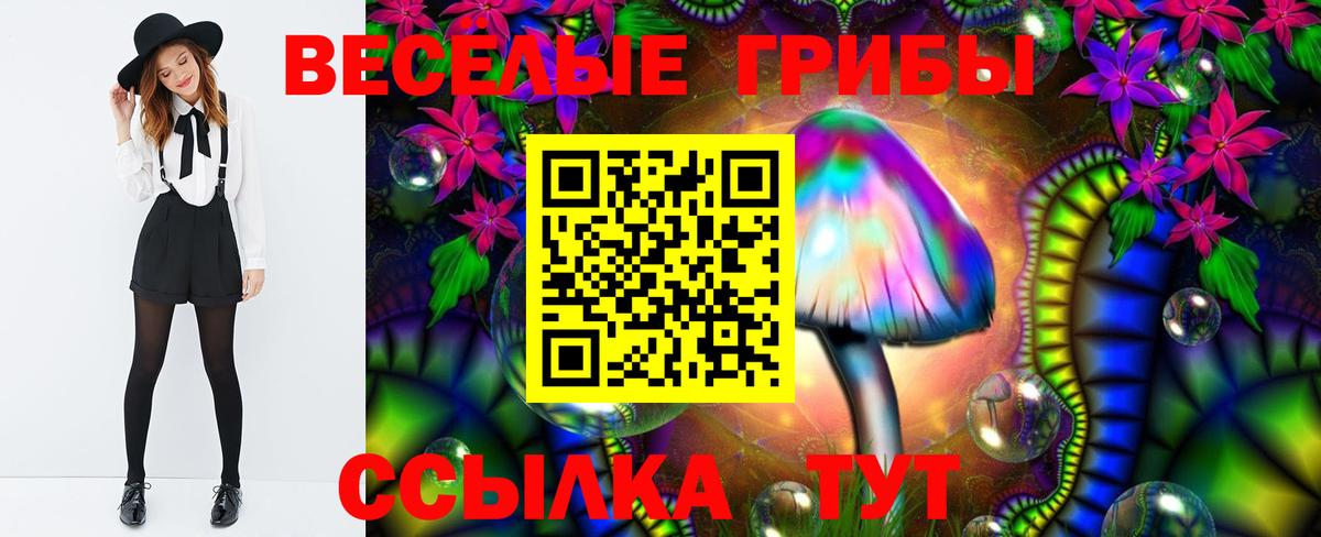 Псилоцибиновые грибы ЛСД  продажа наркотиков  Вход с VPN  Туапсе  Псилоцибиновые грибы мухоморы 