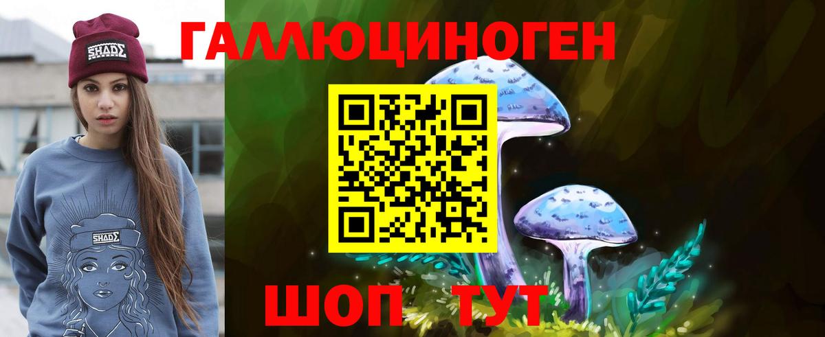 Псилоцибиновые грибы мухоморы Туапсе